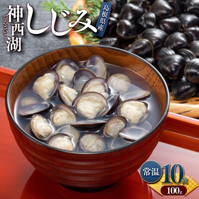 神西湖しじみ100g×10Pセット(常温)【1_5-026】
