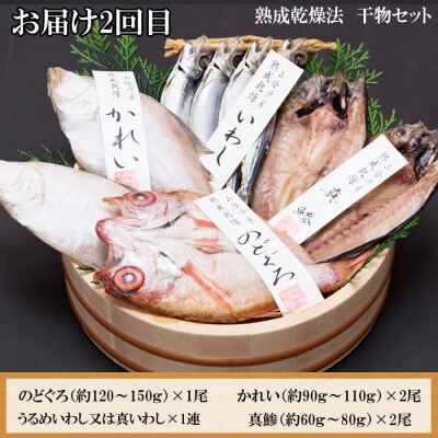 【定期便3回】風味豊かな出雲のお魚詰合せをお届けします!