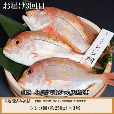 【定期便3回】風味豊かな出雲のお魚詰合せをお届けします!