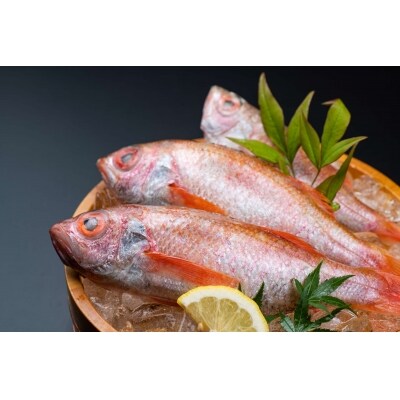 のどぐろ丼ネタセット12切×3P　特製だし醤油付き【1_3-018】