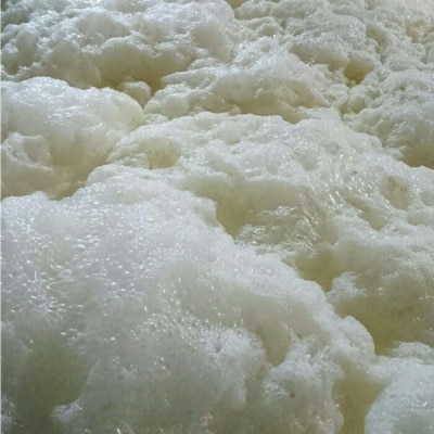 夏至からのおススメ!干支ラベル「乙巳」3本+平盃セット