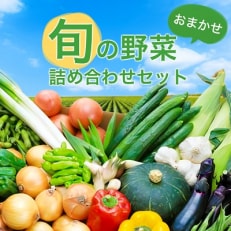 旬の野菜詰め合わせセット(石安米肥店)