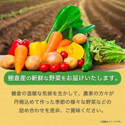 旬の野菜詰め合わせセット(石安米肥店)