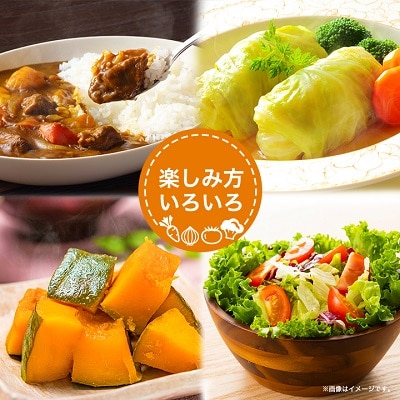 旬の野菜詰め合わせセット(石安米肥店)
