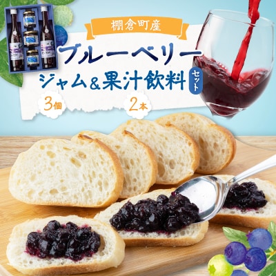 ブルーベリー100%「ジャム」「果汁飲料」セット【棚倉町産】 | ふるさと納税のお礼品