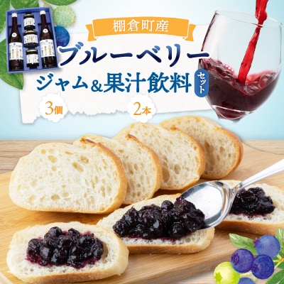 ブルーベリー100%「ジャム」「果汁飲料」セット【棚倉町産】