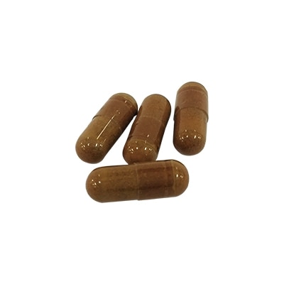 【純国産　健康補助食品】カイコハナサナギタケ冬虫夏草　60袋入り(約30日分)