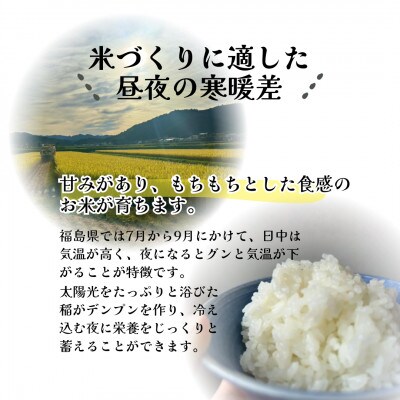 【さとふる限定】令和7年度産白米　福島県棚倉町産コシヒカリ　計5kg　精米