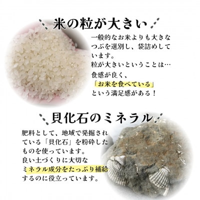【さとふる限定】令和7年度産白米　福島県棚倉町産コシヒカリ　計10kg　精米