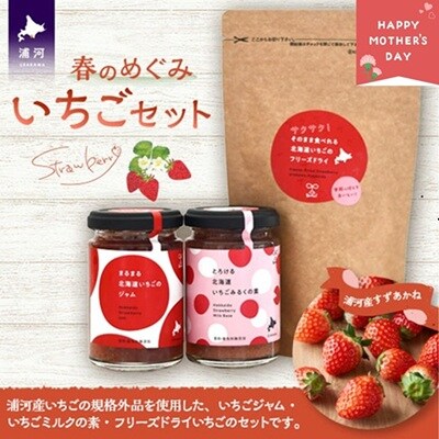 【母の日対応】べてるの家の「いちごセット」[45-1594]