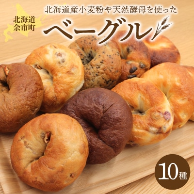北海道産小麦使用!選べる楽しさ!ベーグル10種セットプレーン・チョコ・いちじく等_Y095-0012
