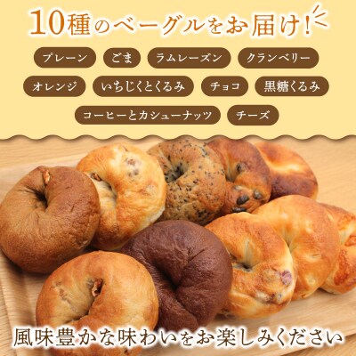 北海道産小麦使用!選べる楽しさ!ベーグル10種セットプレーン・チョコ・いちじく等_Y095-0012