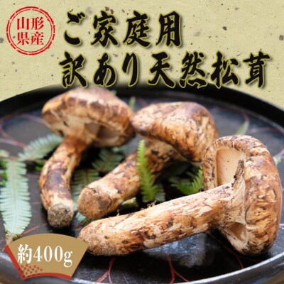 【2026年発送】山形県産ご家庭用訳あり天然松茸(まつたけ)約400g_H204(R8)