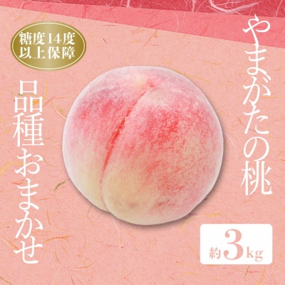 【2026年発送】糖度14度以上保証!「秀品」山形県産 桃(品種おまかせ)約3kg_H207(R8)