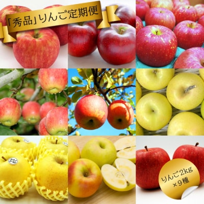 【2026年発送】【定期便9回】「秀品」りんご2kg×9種_H219(R8)