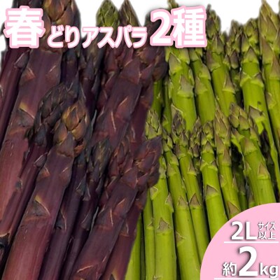 【2026年発送】春どりアスパラ2種(2Lサイズ以上・合計約2kg)_H227(R8)