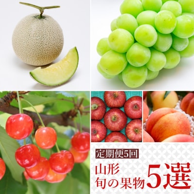 【2026年発送】果物定期便5回(佐藤錦/メロン/桃/シャインマスカット/りんご)_H243(R8)