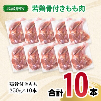 宮崎県産若鶏骨付きもも10本セット　約2.5kg[2971]
