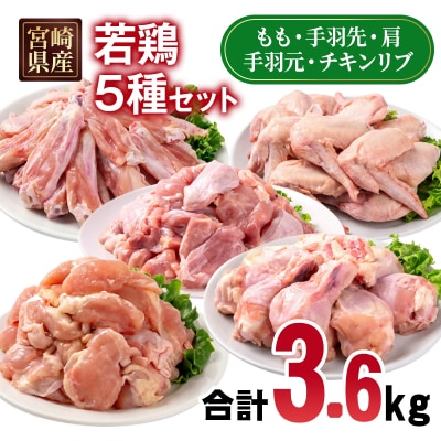 宮崎県産若鶏5種12パック合計3.6kgセット　鶏肉小分け[2977]
