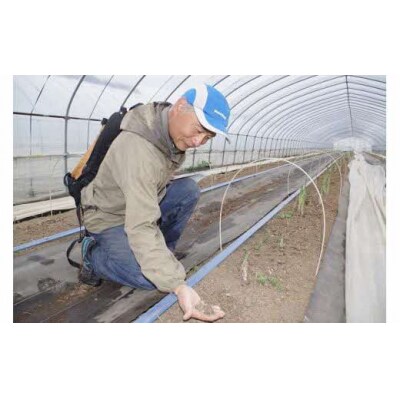 【令和8年7～8月中旬発送・先行予約受付中】夕張の大地が育んだ夏アスパラ(1kg) FO2