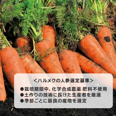 ハルメク 人参ジュース【缶】190g×30本|24_hal-023001