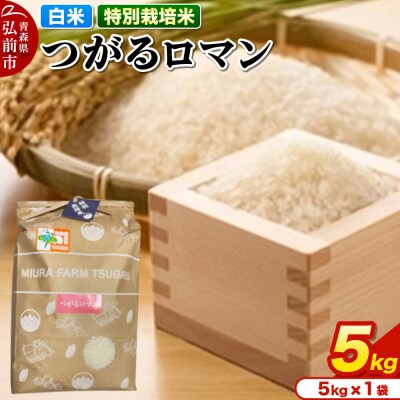 米【特別栽培米】つがるロマン 白米 5kg 青森県弘前市産|24_mft-050501