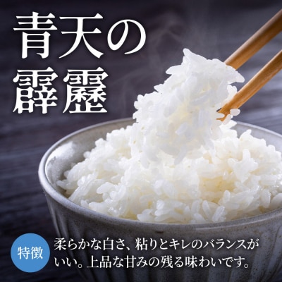 米 青天の霹靂 白米 5kg 青森県弘前市産|24_mft-060501