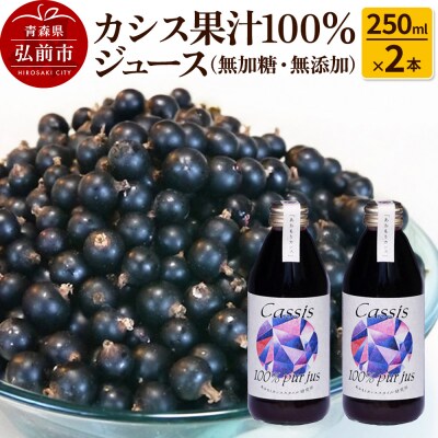 カシス果汁100%ジュース(無加糖・無添加)250ml×2本|24_ack-010201