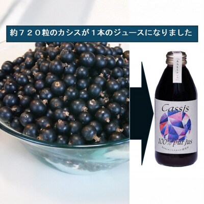 カシス果汁100%ジュース(無加糖・無添加)250ml×2本|24_ack-010201