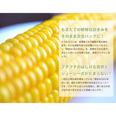 とうもろこし 嶽きみ真空パック10本セット(L～2Lサイズ)|24_ank-041001