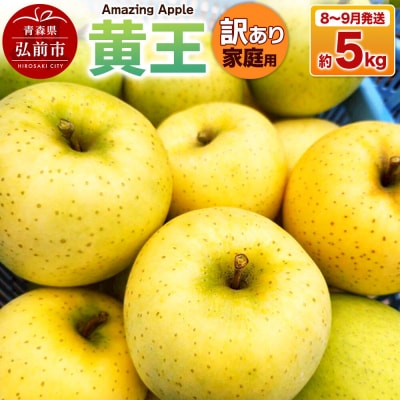 【26年8月下旬～9月発送】りんご 黄王【訳あり】家庭用 約5kg|24_cmn-160501d
