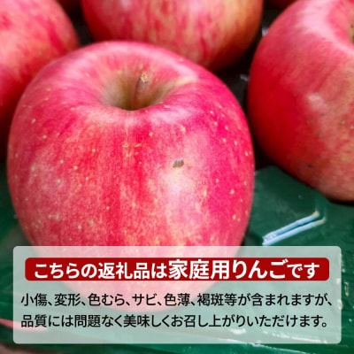 【26年8月下旬～9月発送】りんご 黄王【訳あり】家庭用 約5kg|24_cmn-160501d