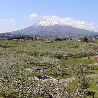 【タクシーでらくらく移動】着地型弘前ねぷたまつり見学ツアー 3名様ご招待|24_flk-030301
