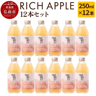 りんごジュース RICH APPLE 12本セット(250ml×12本)|24_gnk-011201