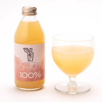 りんごジュース RICH APPLE 12本セット(250ml×12本)|24_gnk-011201