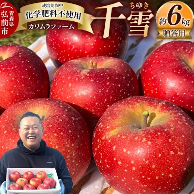 りんご 千雪 贈答用 約6kg カワムラファーム|24_kmf-120601