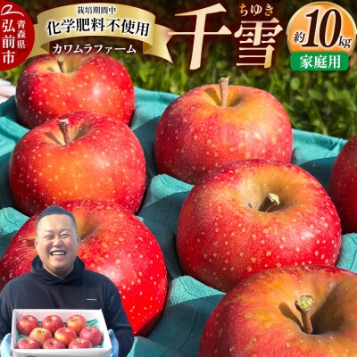 りんご 千雪 家庭用 約10kg カワムラファーム|24_kmf-131001