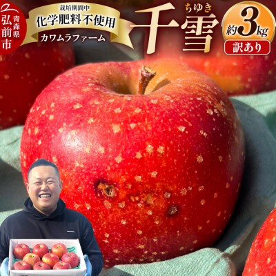 りんご 千雪 訳あり 約3kg カワムラファーム|24_kmf-140301