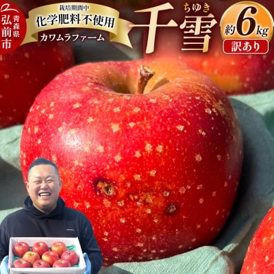 りんご 千雪 訳あり 約6kg カワムラファーム|24_kmf-140601