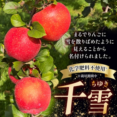 りんご 千雪 訳あり 約6kg カワムラファーム|24_kmf-140601