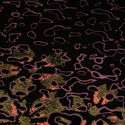 津軽塗 折足テーブル 紫塗込/葉桜|24_ksk-230101