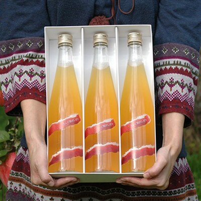 りんご贅沢しぼり500ml(3本入り) 100%ストレート|24_mrh-020301