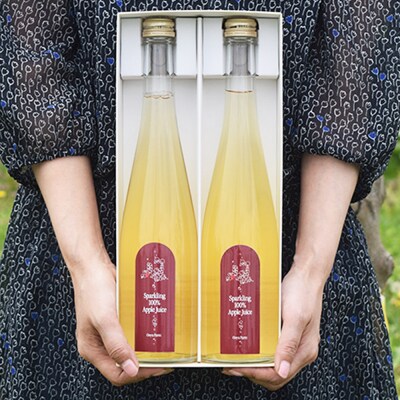 スパークリング100%りんごジュース(2本入り) りんご果汁100%|24_mrh-030201