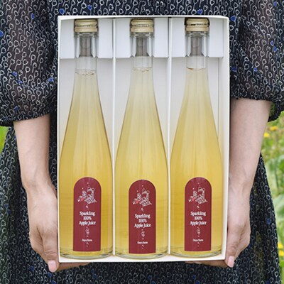 スパークリング100%りんごジュース(3本入り) りんご果汁100%|24_mrh-030301