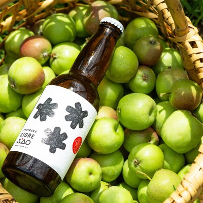 テキカカシードル (シードル、ライチ)各330ml×3本 計6本|24_mye-020601