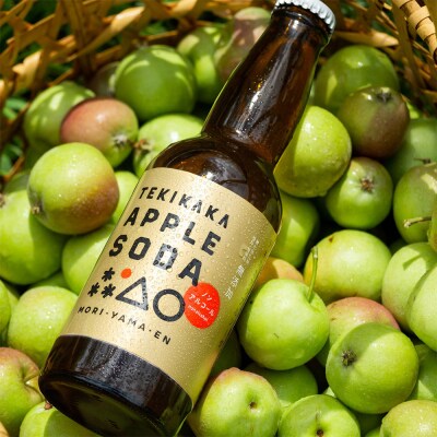 テキカカシードル(ラガー)& アップルソーダ 各330ml×3本 計6本|24_mye-060601