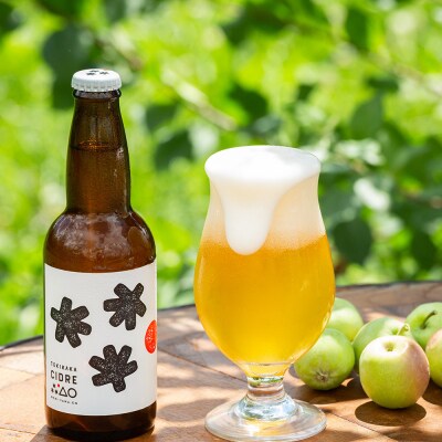 テキカカシードル(シードル 、ライチ、ラガー)各330ml×2本 計6本|24_mye-070601