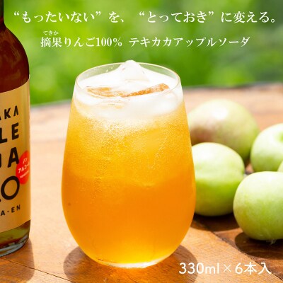 テキカカアップルソーダ 330ml×6本|24_mye-100601