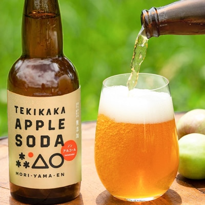 テキカカアップルソーダ 330ml×6本|24_mye-100601