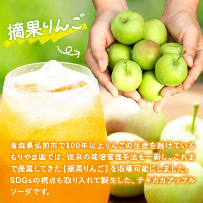 テキカカアップルソーダ 330ml×24本 もりやま園|24_mye-102401